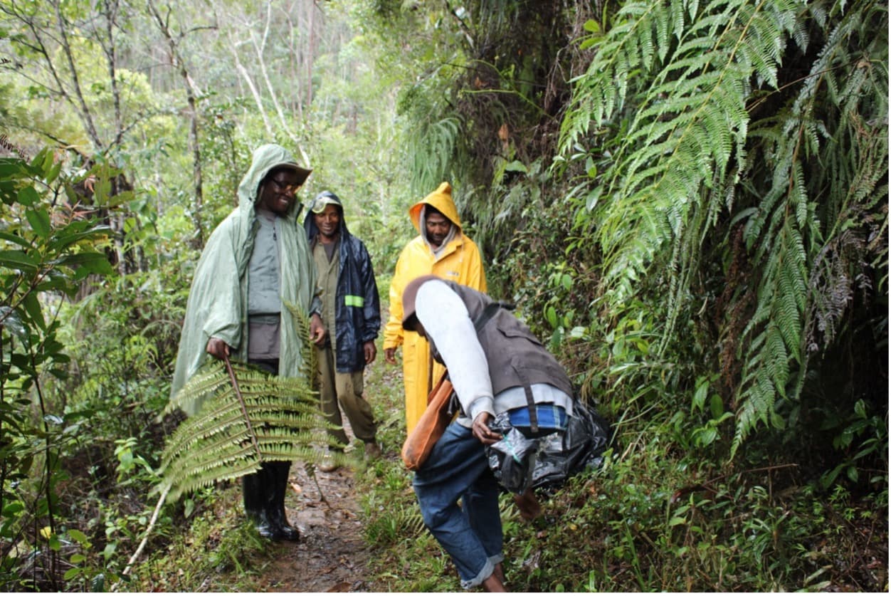 Mr Sabotsy demonstrating associated plants