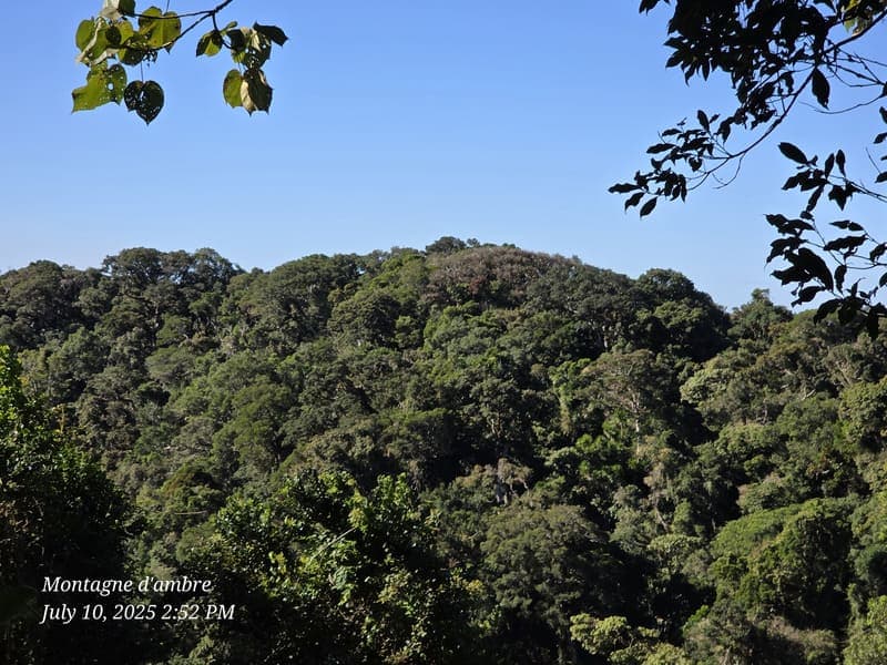 Montagne d'Ambre National Park, Antsiranana (1)