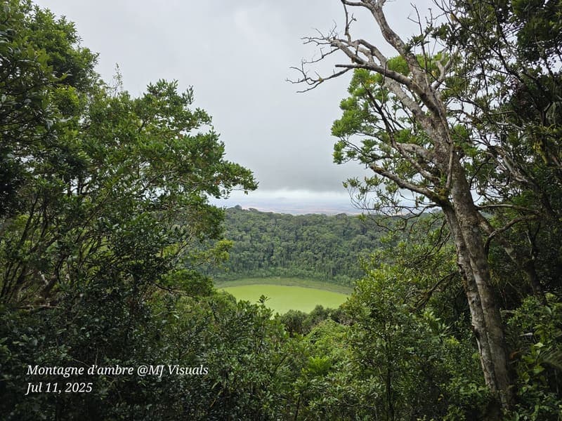 Antsiranana - continuity and microhabitats (1)