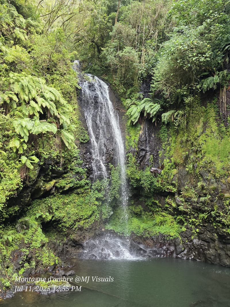 Antsiranana - continuity and microhabitats (2)