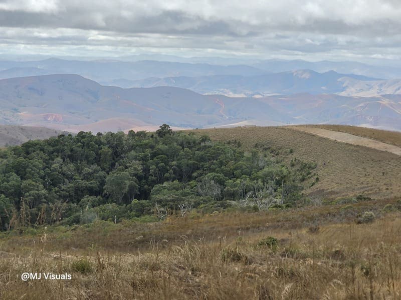 Manerinerina -> Ambohitantely -> Tana - wrap-up (1)