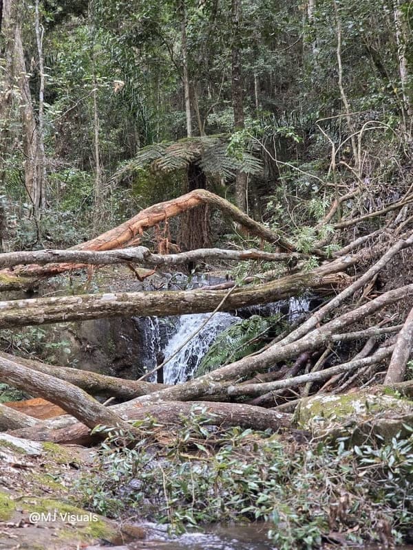 Manerinerina -> Ambohitantely -> Tana - wrap-up (4)