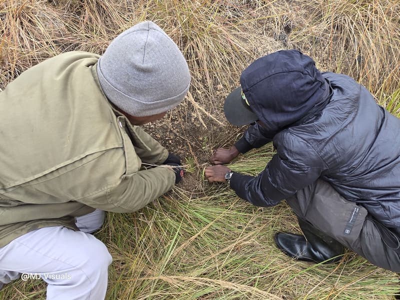 Manerinerina -> Ambohitantely -> Tana - wrap-up (5)