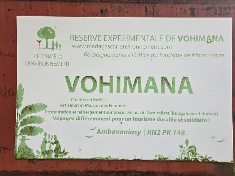 Vohimana - community forest contrasts (6)
