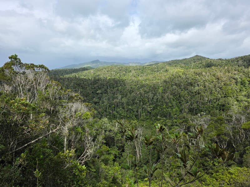 Vohimana - follow-up plots and canopy sites (1)
