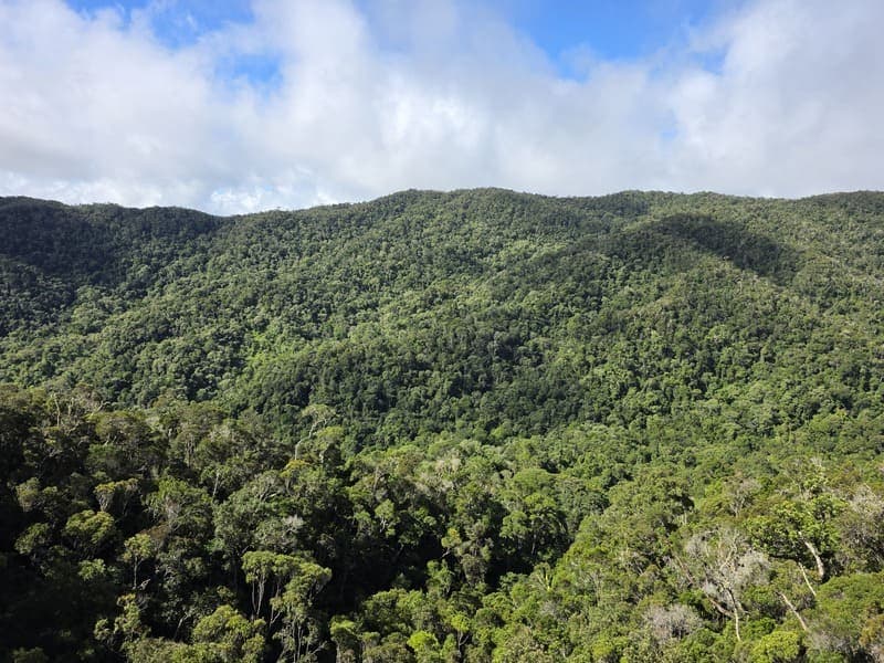 Maromizaha - humid valleys and streams (1)