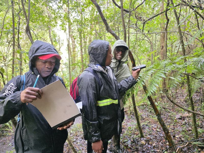 Maromizaha - humid valleys and streams (4)