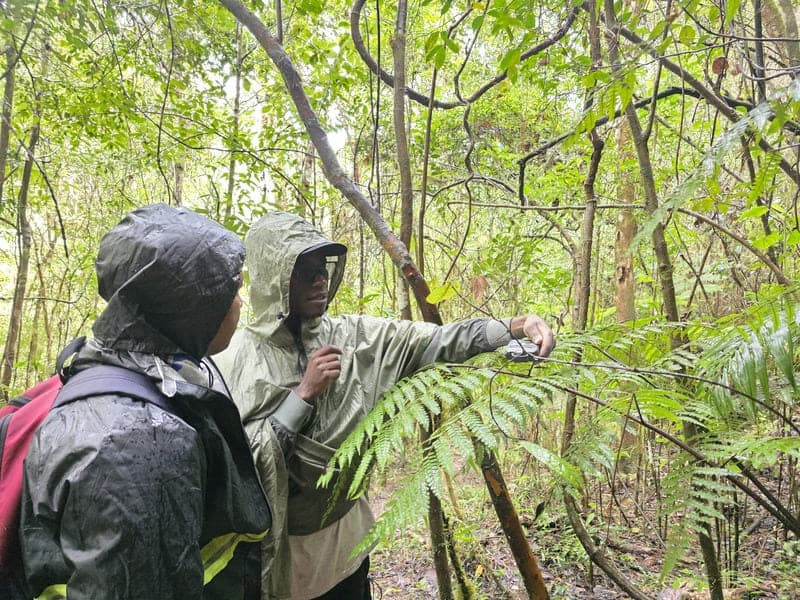 Maromizaha - humid valleys and streams (5)