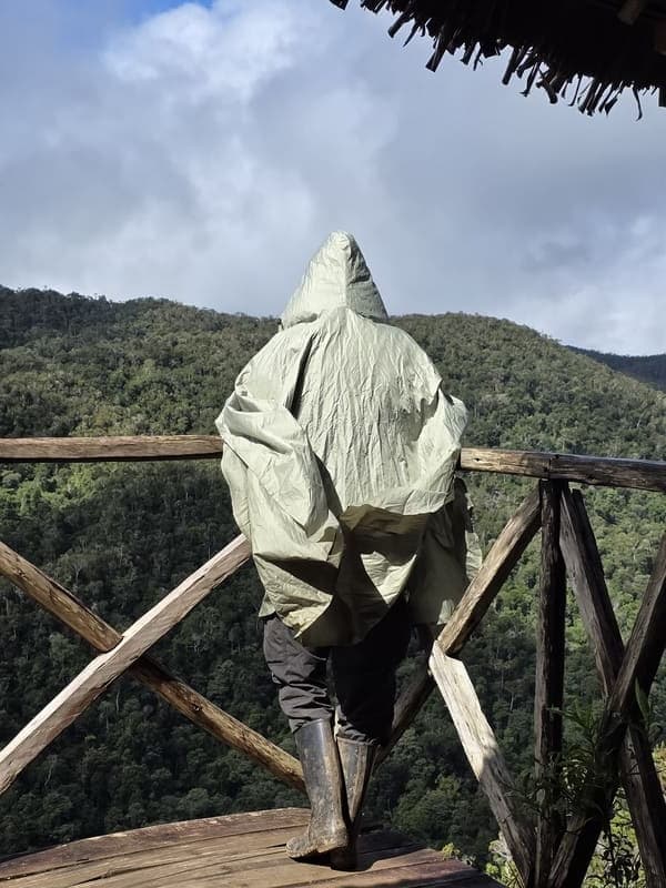 Maromizaha - humid valleys and streams (7)