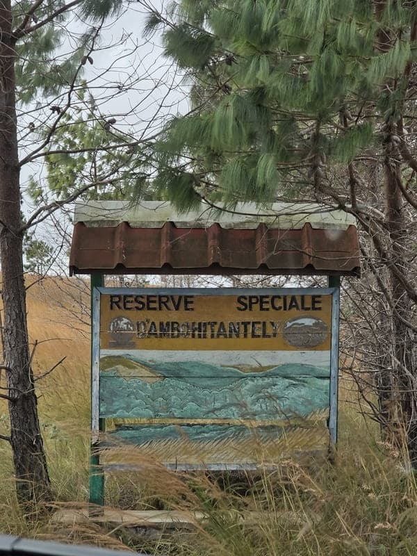 Ambohitantely - forest-savannah mosaic at the margin (3)