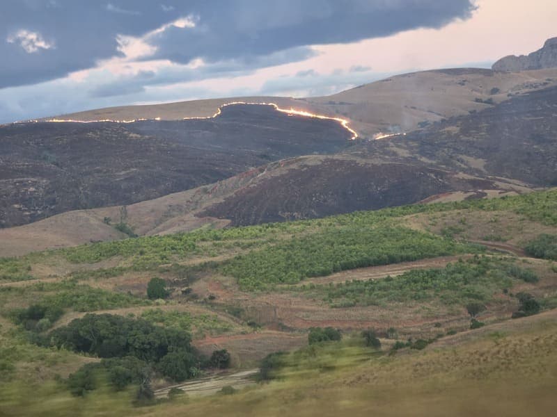 Ambohitantely - forest-savannah mosaic at the margin (13)