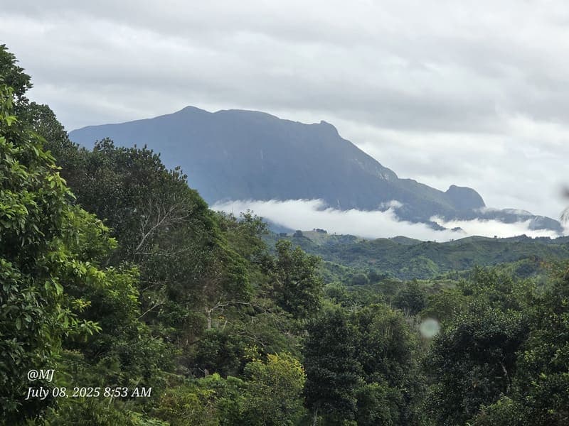 Marojejy - wide elevation gradient (~400-1300 m) (1)