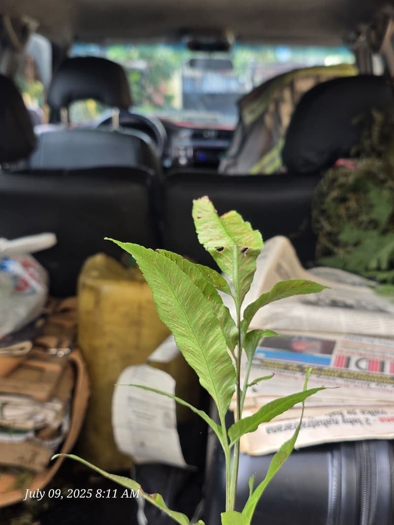 Transit north - road conditions and backups (1)