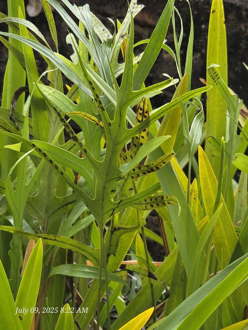 Transit north - road conditions and backups (2)