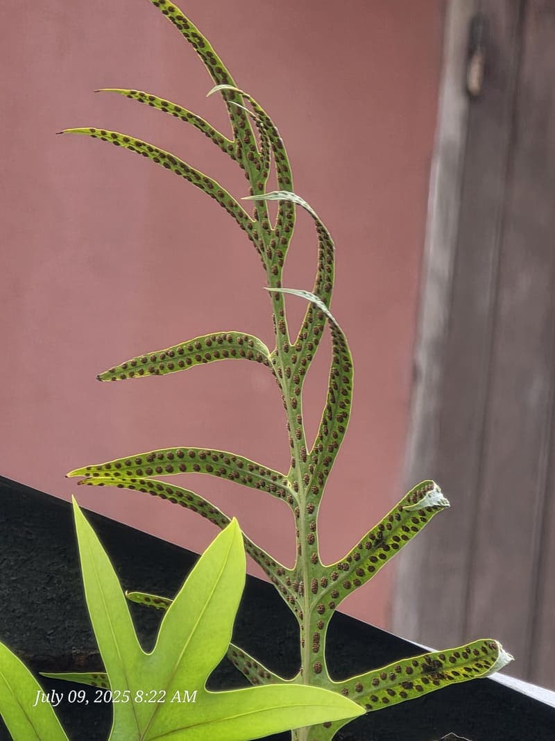 Transit north - road conditions and backups (3)