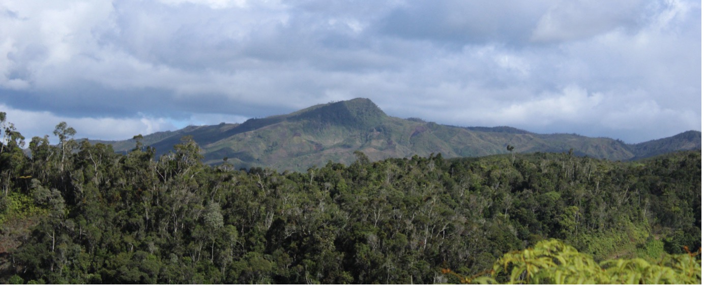 Vohimana Forest, Ambavaniasy Village